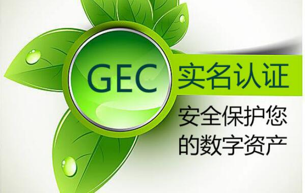 GEC怎樣快速通過實名認證？
